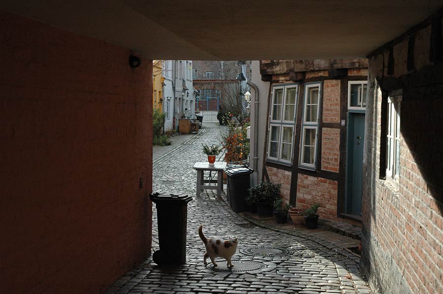 Gänge in Lübeck - Urlaub in Lübeck