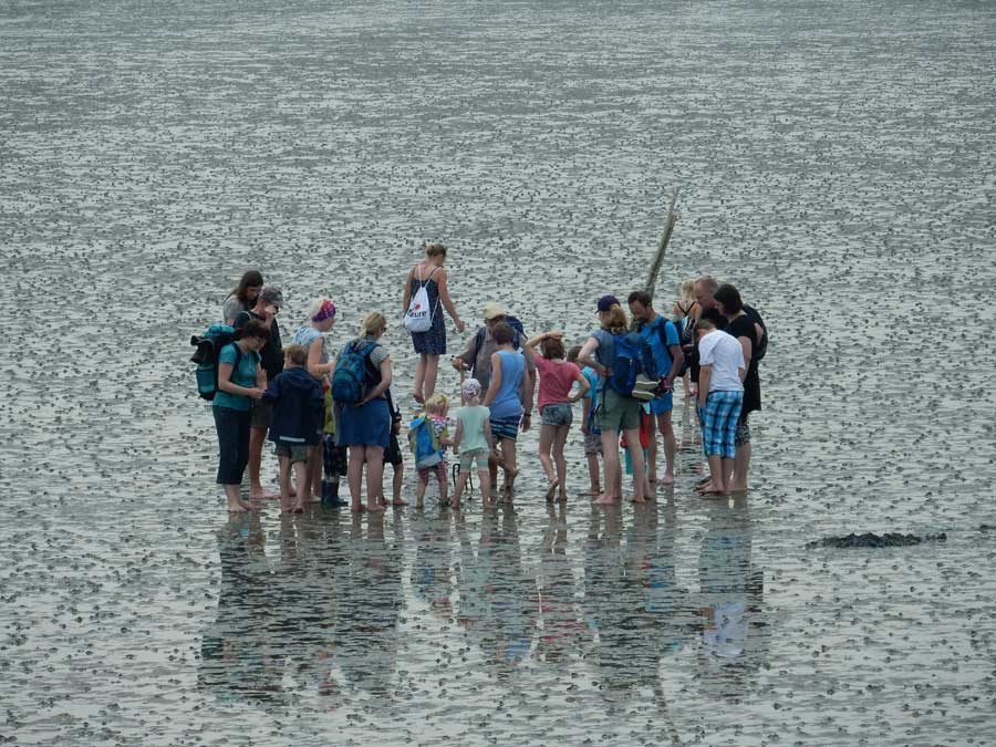 Wattenmeer, Weltnaturerbe und Nationalpark