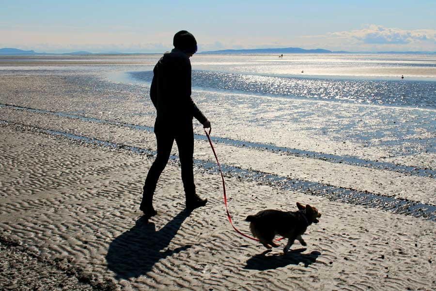 Schleswig-Holstein im Winter an der Nordsee